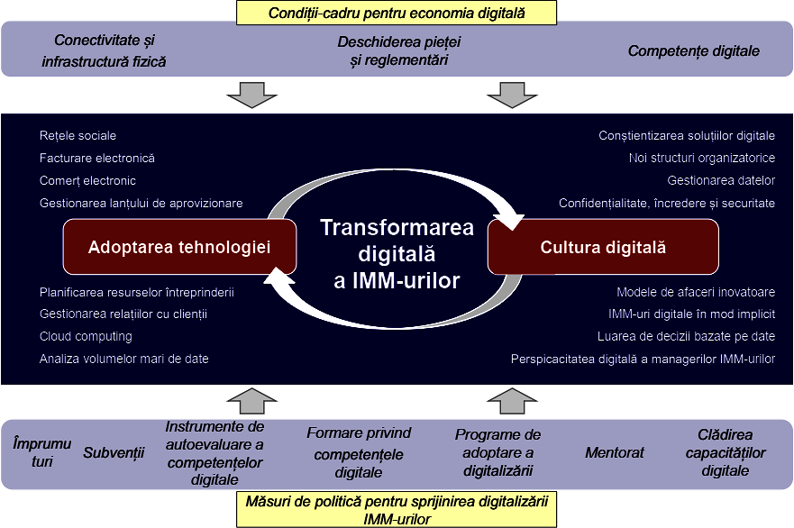 Figura 1.8. Cadrul de sprijinire a transformării digitale a IMM-urilor în Parteneriatul Estic