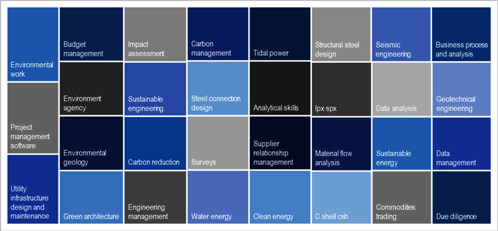 Figure 5.11. Project management skills bundle