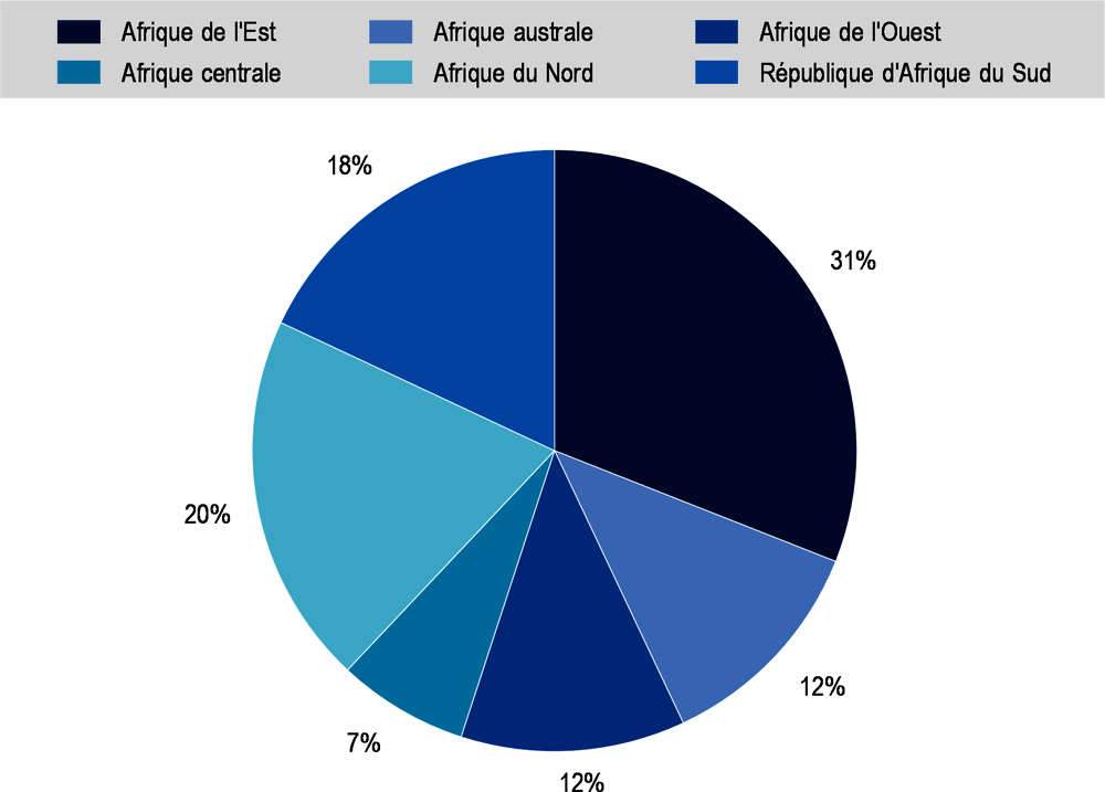 Graphique 3.14. Part de l'investissement total dans l'eau et l'assainissement par région africaine, 2018