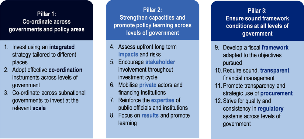 Figure 6.6. The 12 Principles of the OECD recommendation