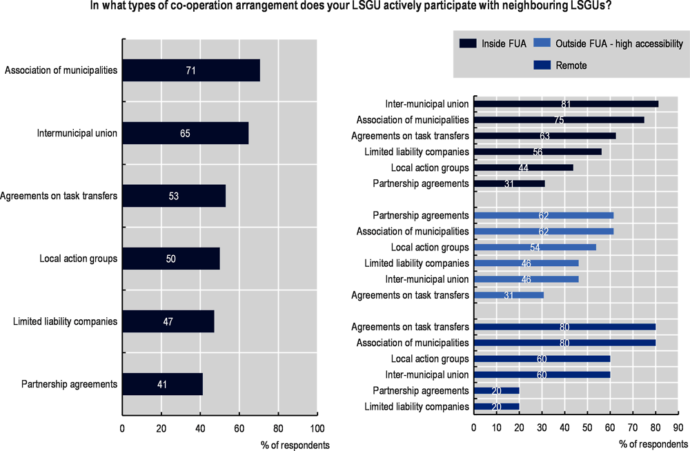 Figure 6.7. Types of co-operation agreements among local self-governments in Poland 