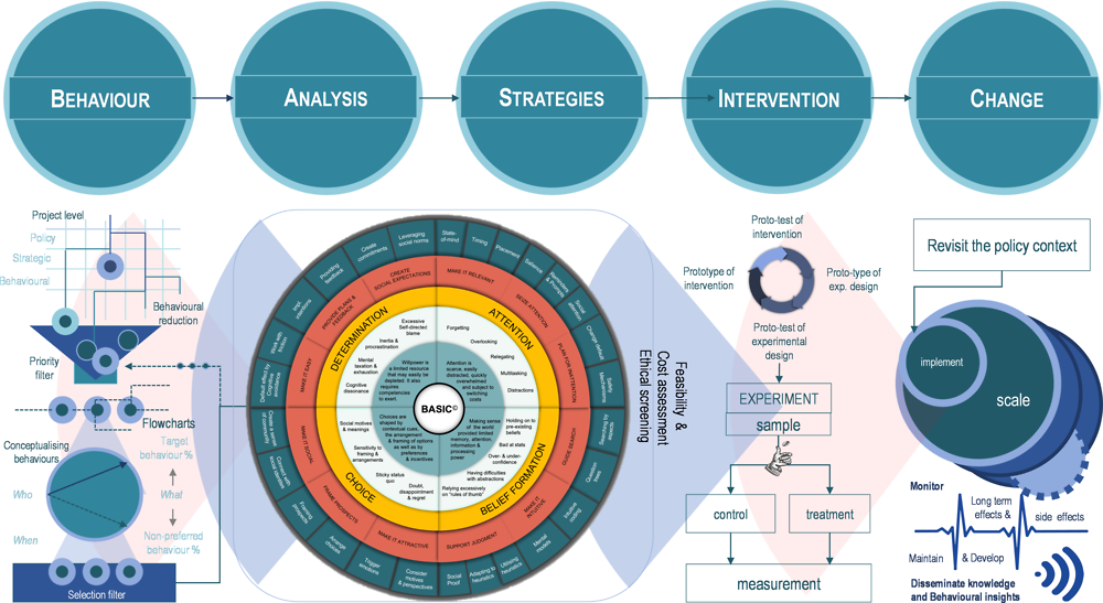 Figure 2.1. The BASIC framework