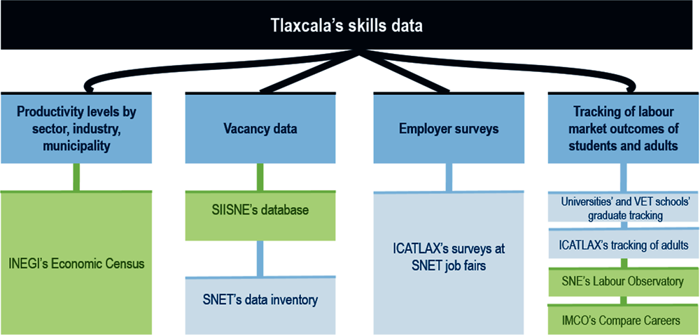 Figure 5.2. Overview of Tlaxcala’s skills data 