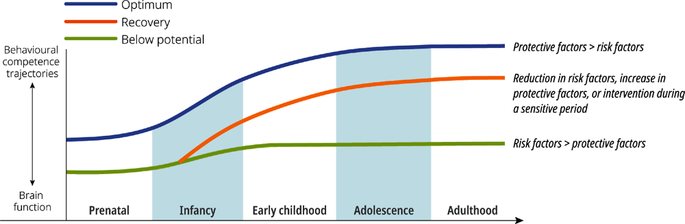Figure 1.2. Risk and protective factors affect development trajectories