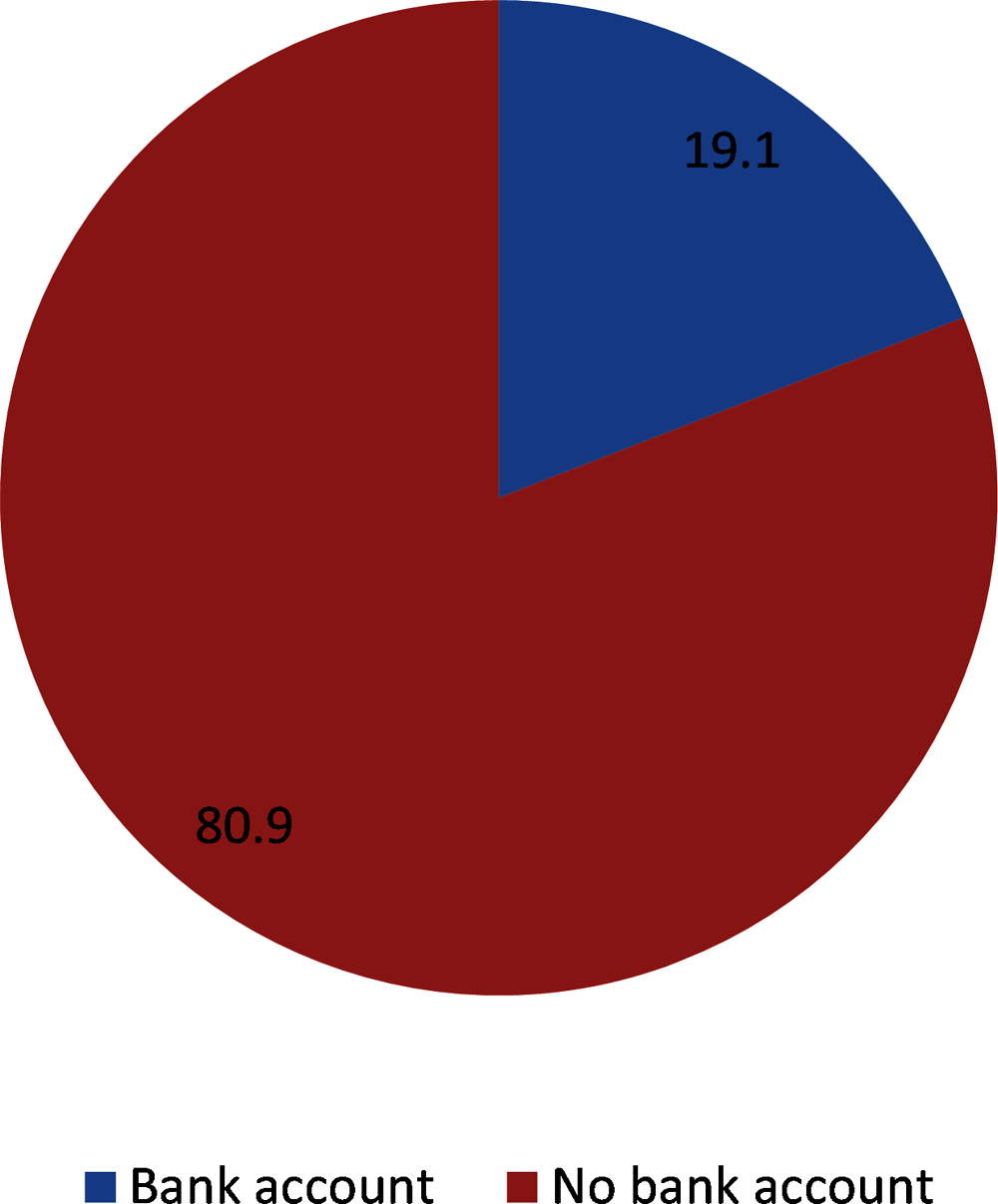 Figure 4.8. Respondents with and without a bank account, in percentage