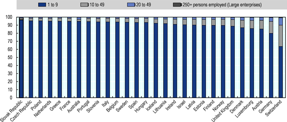 Figure 2.1. Enterprises by size in the OECD countries