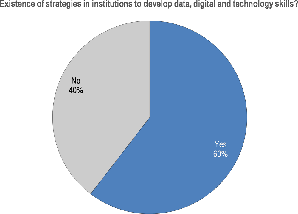 Figure 2.4. Digital skills strategies in Panamanian public sector organisations