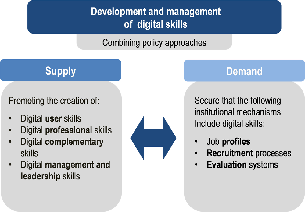 Figure 2.5. Digital skills – Supply and demand policy approaches