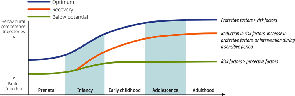 Figure 1.1. Risk and protective factors affect development trajectories