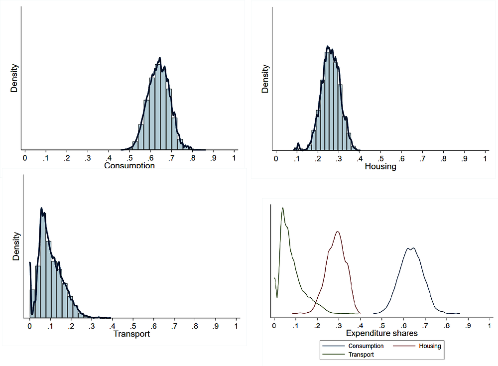 Figure 4.11. Expenditure shares of income