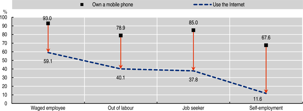Figure 2.6. Mobile phone and Internet usage among Africa’s young women, aged 15-29, by employment status