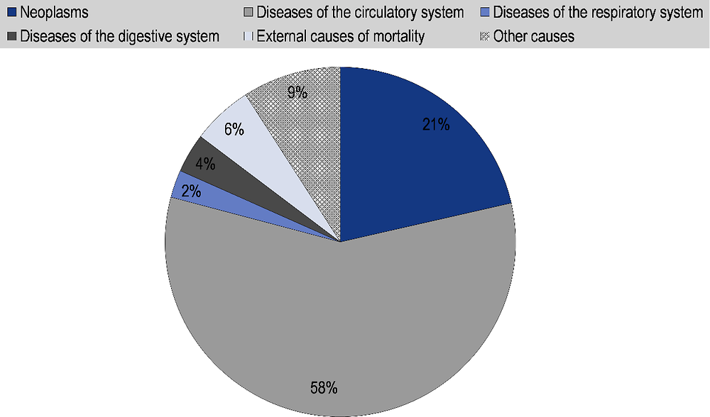 Figure 3.1. Main Causes of Mortality in Latvia, 2015