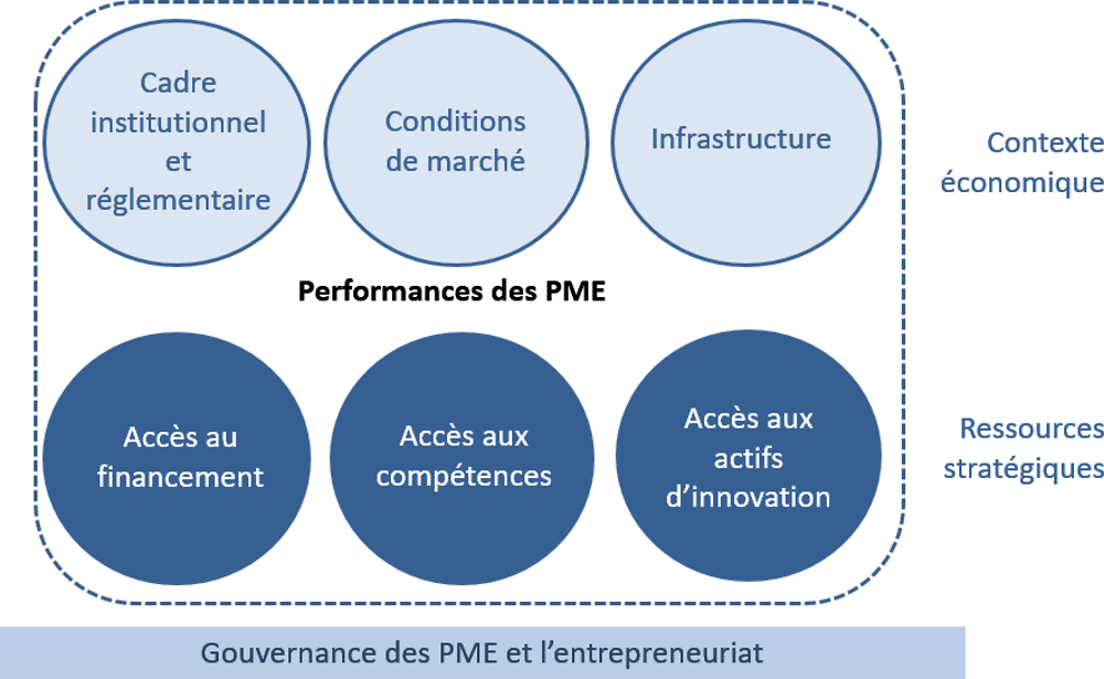 Graphique 8.1. Perspectives sur les PMEE : cadre conceptuel