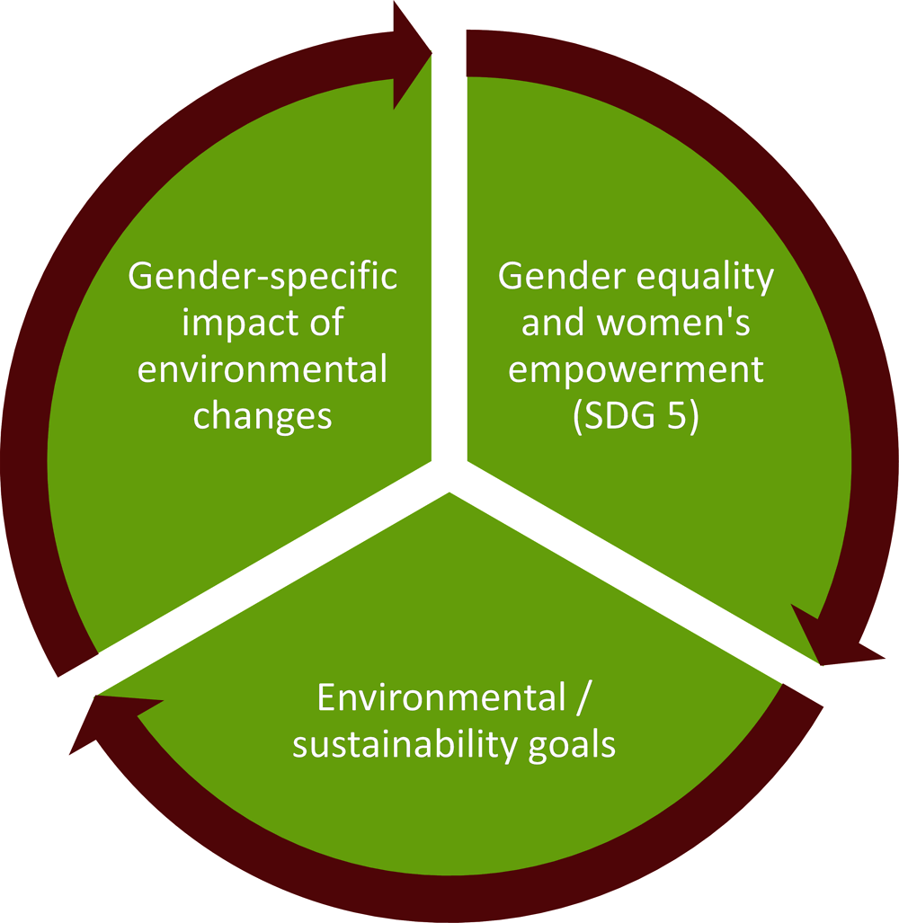 Figure 1.1. The Gender-Environment Nexus