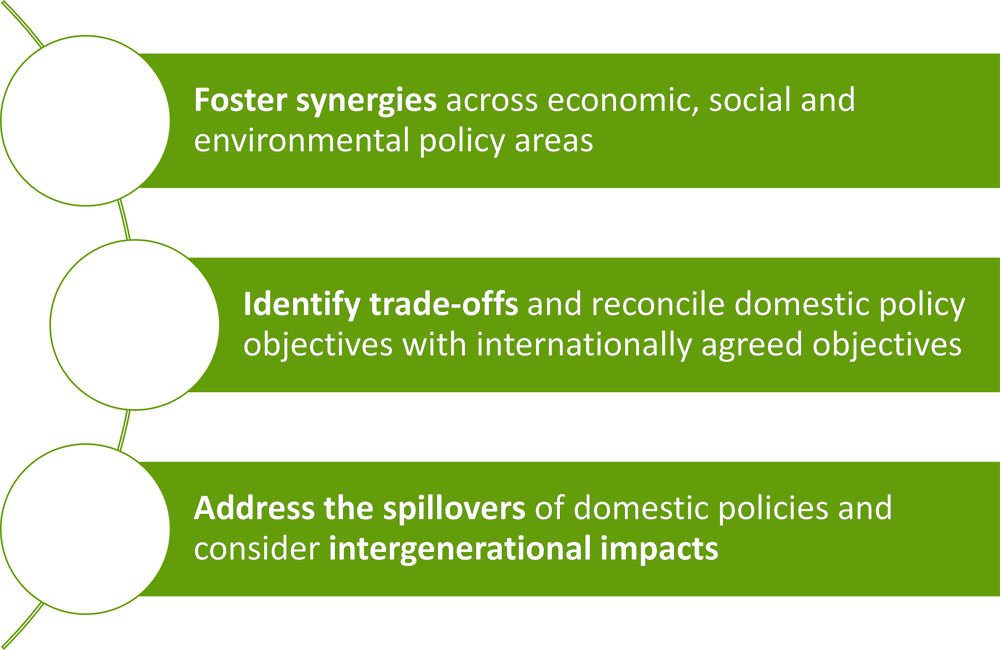 Figure 1.3. Mapping goal and policy interactions in the PCSD framework