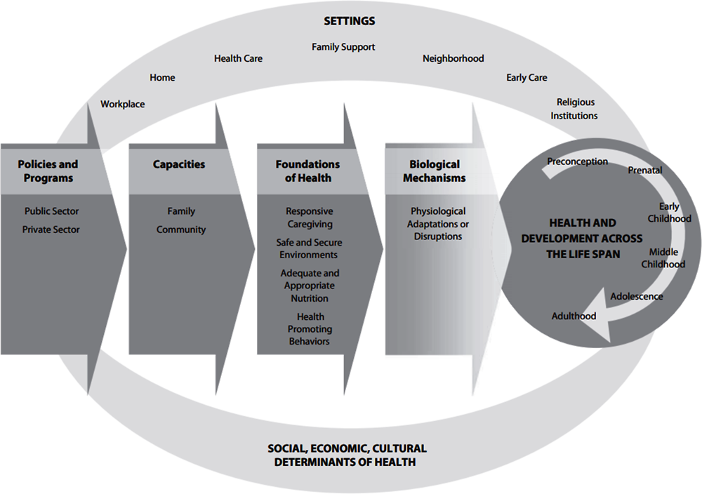 Figure 4.1. Channels through which policies impact child health