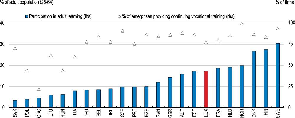 Figure 29. Too few firms and workers recognise the importance of continuous training