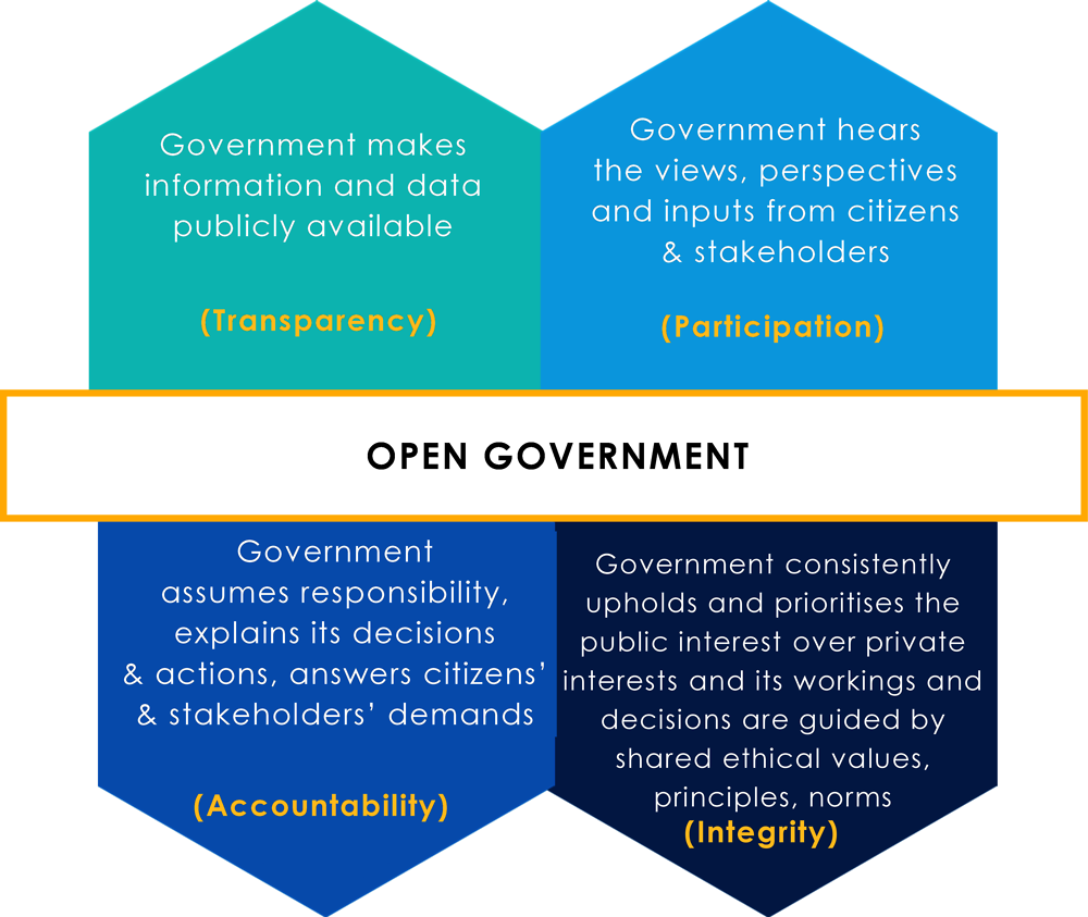 Figure 2.1. The pillars of open government