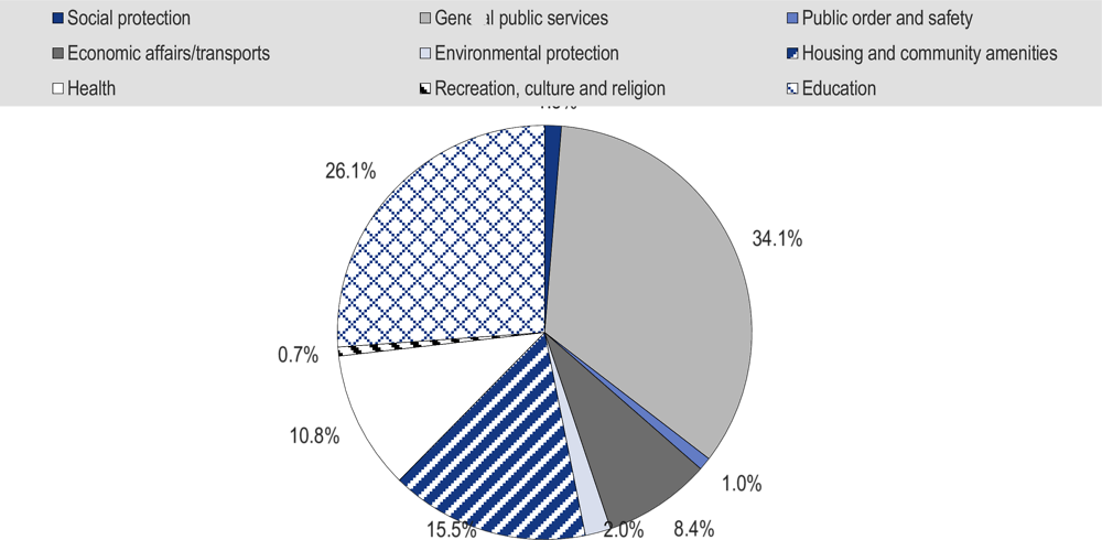 Figure 2.18. Local government expenditure in Indonesia
