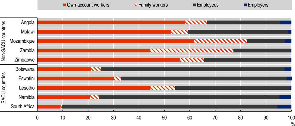 Figure 3.4. Distribution of employment by occupational status in Southern Africa, 2020 (as a percentage of the population)