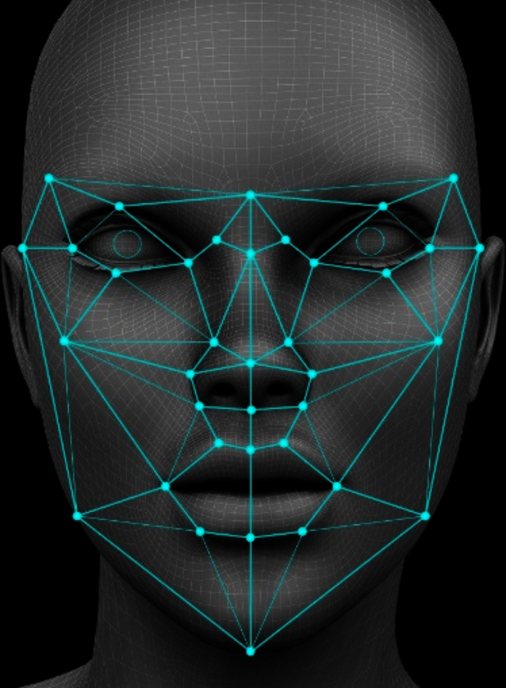 Abbildung 3.4. Veranschaulichung einer Gesichtserkennungssoftware