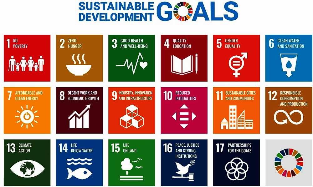 Figure 1.1. The Sustainable Development Goals