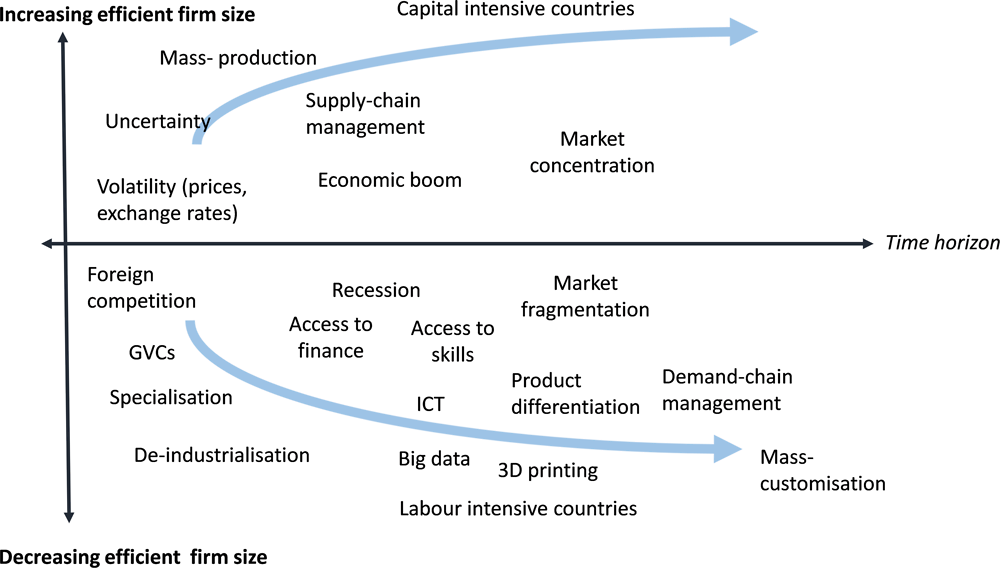 Figure 3.6. Cyclical trends, megatrends and efficient firm size