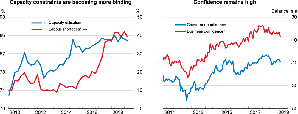 Capacity constraints and confidence: Slovenia