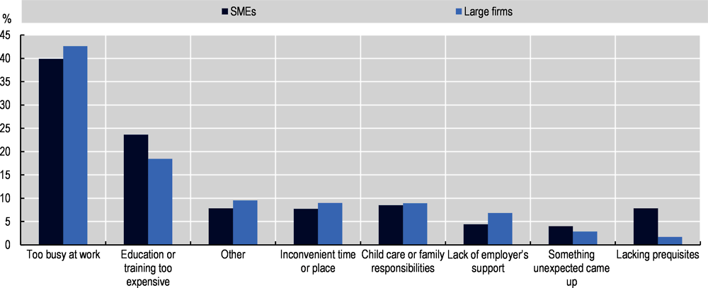 Figure 4.15. Managers of large firms and SMEs in Mexico face different barriers to training participation