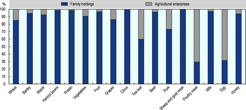 Figure 4.10. Production of agricultural commodities by farm type