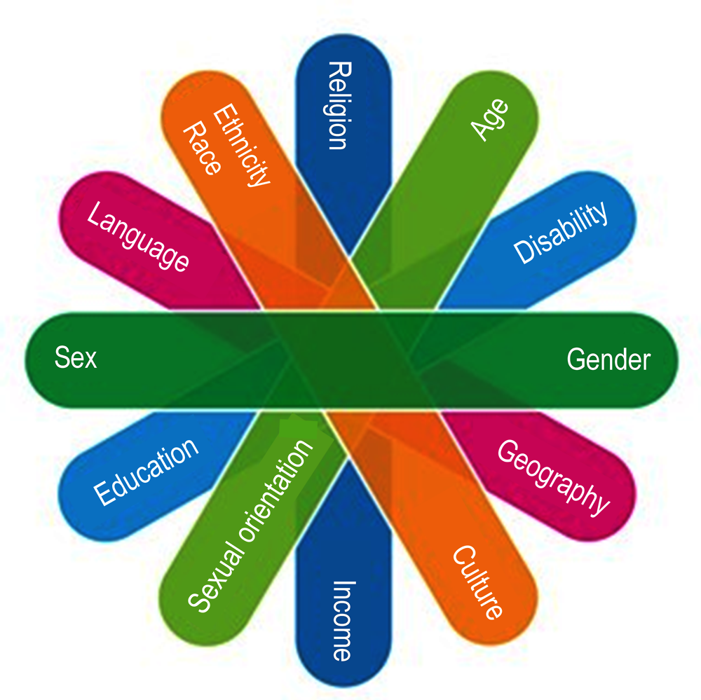 Figure 2.3. Intersectional approach to GBV