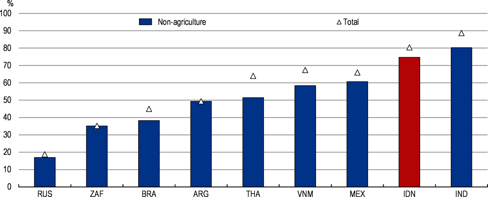 Figure 2.18. Informality is pervasive in Indonesia