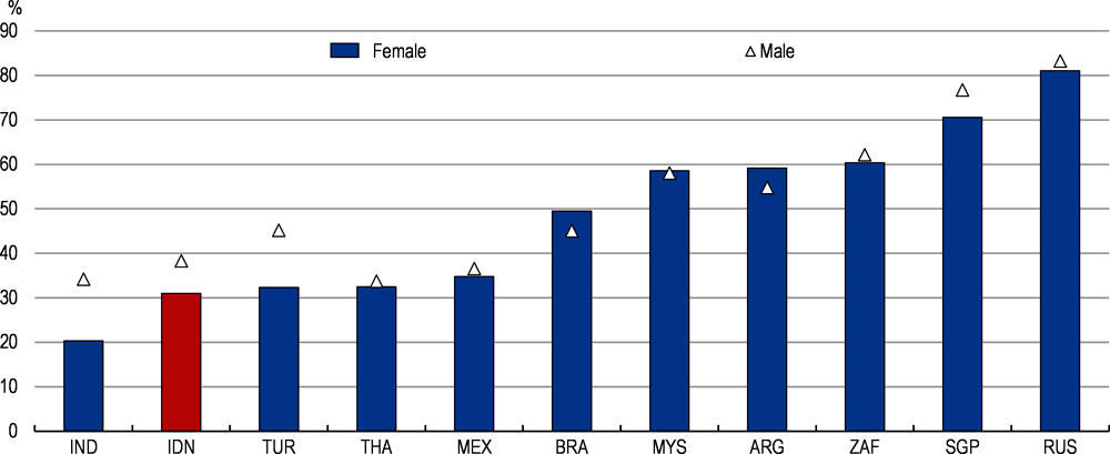 Figure 2.25. Indonesian women have received less education than men