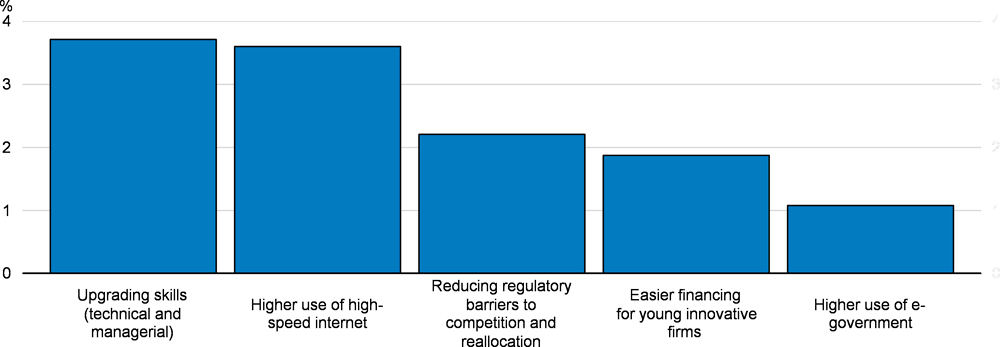 Figure 2.9. A range of policies can support productivity by promoting greater diffusion of digital technologies