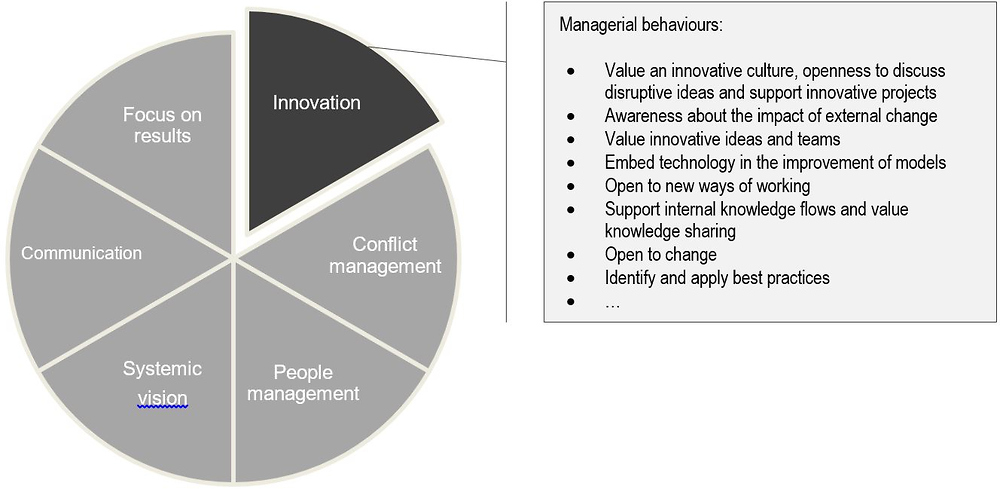 Figure 3.4. Managerial behaviours for innovation (extract)