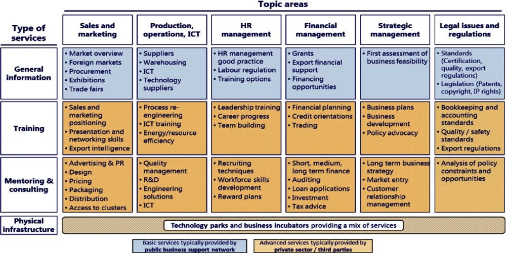 Figure 6.2. Business development services: topic areas and types of services