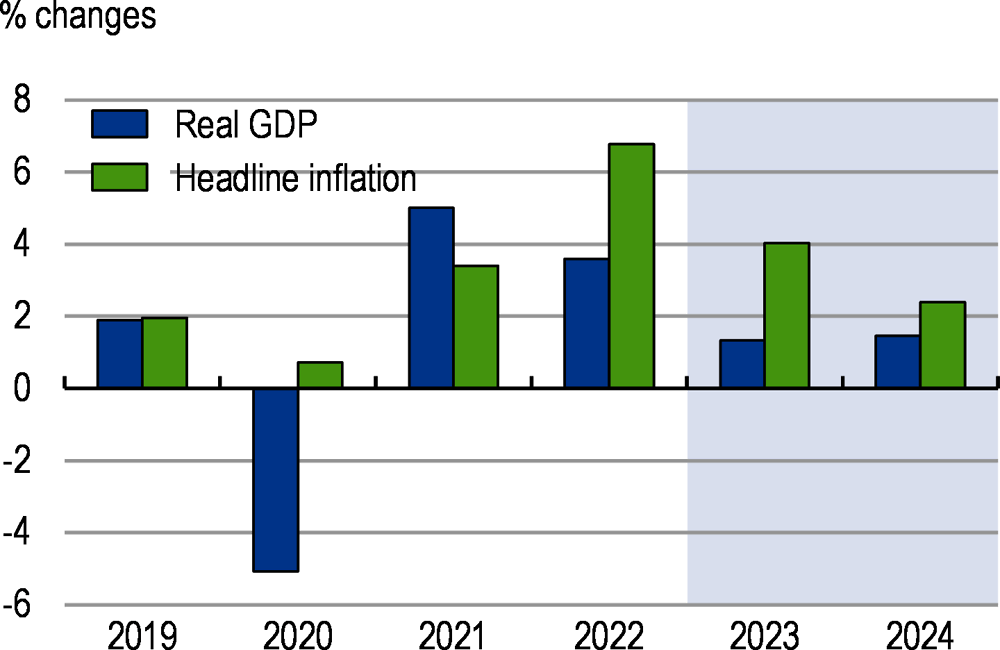 Figure 2. Activity and inflation will slow further