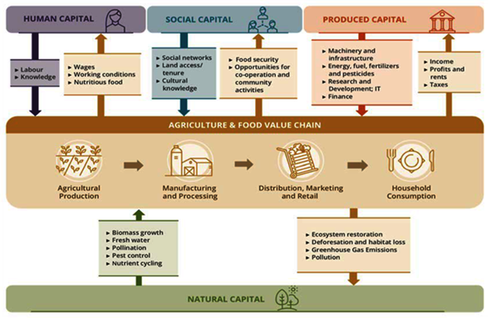 Graphique 6.2. Stocks de capital et flux de valeur dans les systèmes éco-agroalimentaires