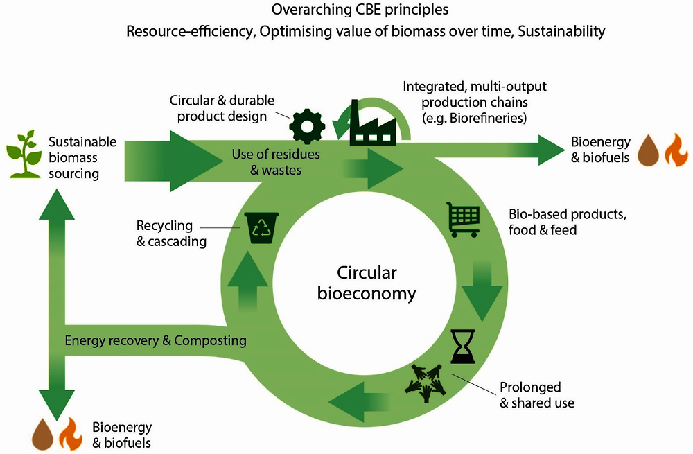 Figure 5.1. The circular bioeconomy (CBE) and its principles