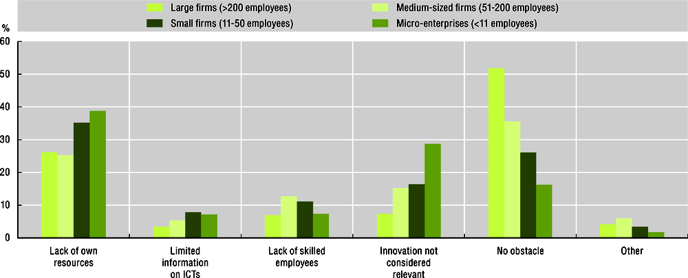 Figure 4.4. Small firms may lack the financial resources to use ICTs for innovation