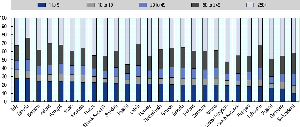 Figure 2.7. Value added by firm size in OECD countries