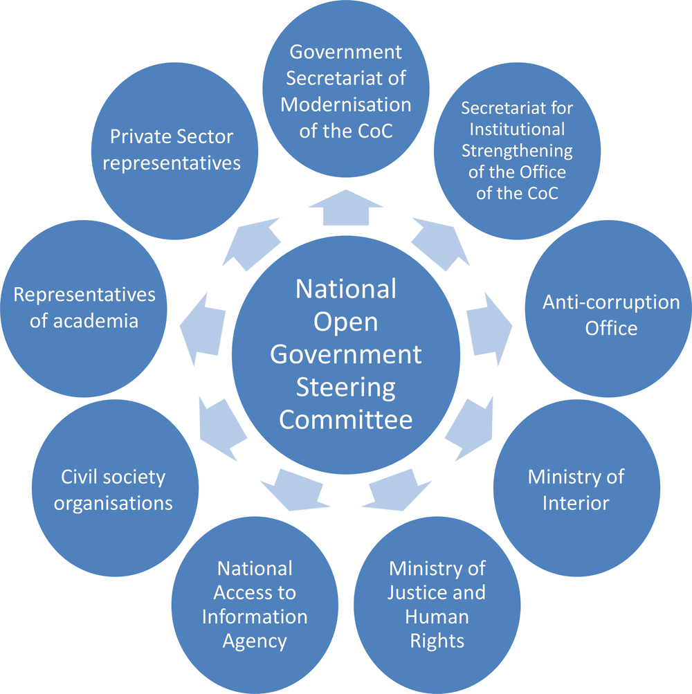 Figure 2. Possible composition of the new National Open Government Steering Committee