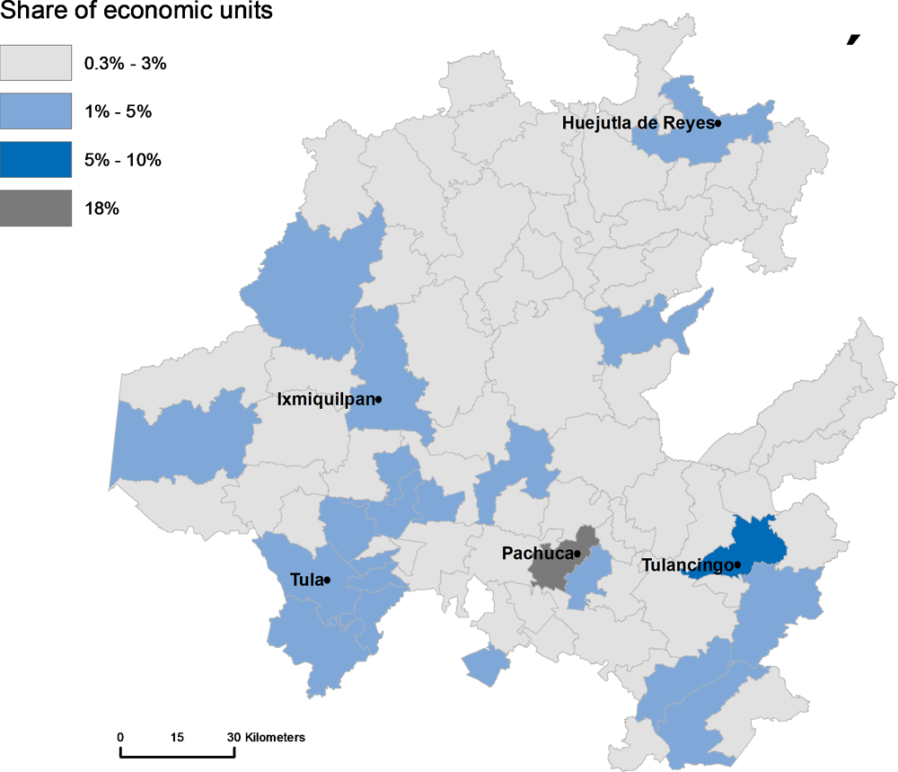 Figure 1.18. Share of economic units by municipality, Hidalgo, 2017