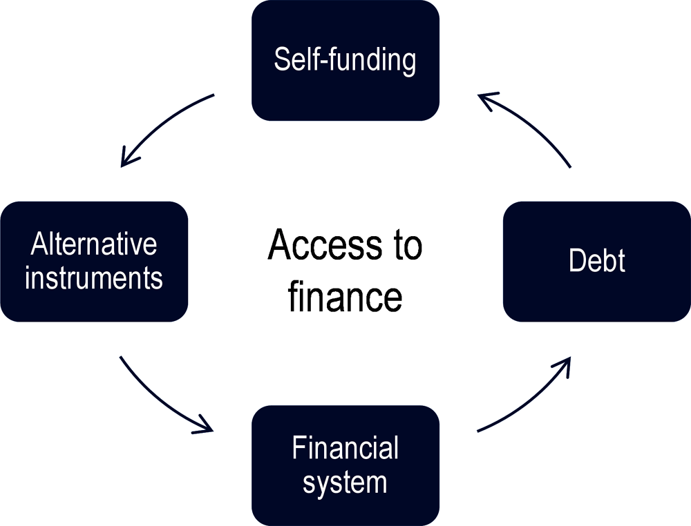 Figure 2.1. 6+1 pillars of SME&E performance – Pillar 4: Access to finance