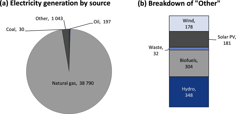 Figure 3.9. Electricity generation by source