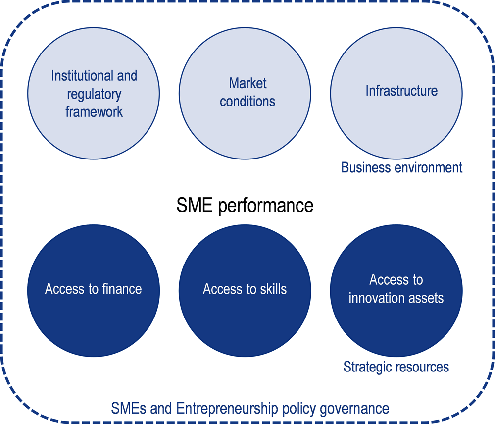 Figure 1.1. The 6+1 pillars of SME performance