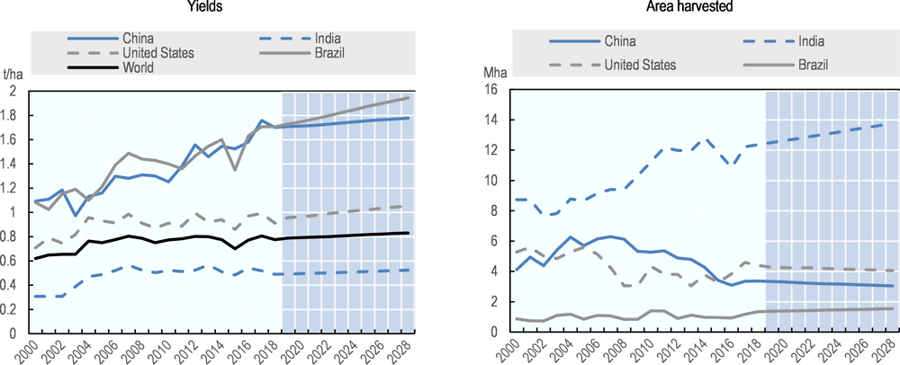 Figure 10.4. Cotton yields and area harvested in major producing countries