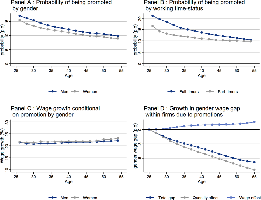 Figure 5.10. The role of promotions in the gender gap within firms over the working life