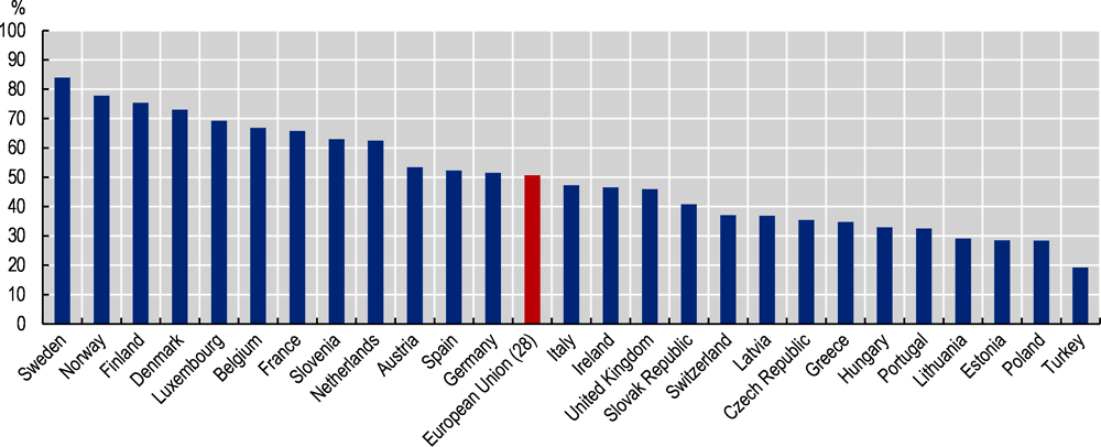 Figure 2.16. Representative voice in Europe