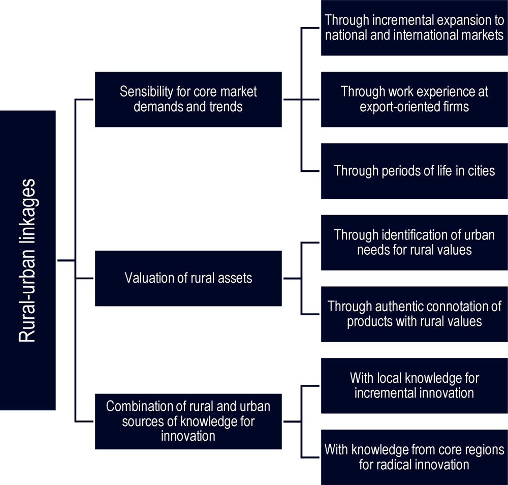 Figure 3.2. Rural-urban links from an entrepreneurial perspective 